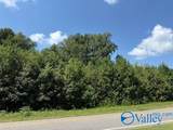 Tract 2 of 2 Flanagan Road - Photo 3
