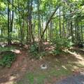 LOT 106 & 107 Creekwood Drive - Photo 5