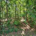 LOT 106 & 107 Creekwood Drive - Photo 7