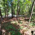 LOT 106 & 107 Creekwood Drive - Photo 8