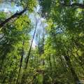 LOT 106 & 107 Creekwood Drive - Photo 9
