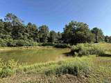 1150 Buzzard Rock Road - Photo 18