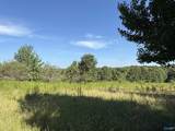 1150 Buzzard Rock Road - Photo 2