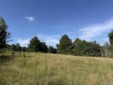 1150 Buzzard Rock Road - Photo 20