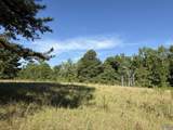 1150 Buzzard Rock Road - Photo 21