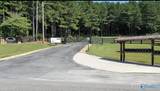 Lot 71 County Road 767 - Photo 13