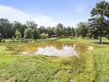 423 Hamer Road - Photo 37