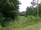 Lots 4- 9 County Road 235 - Photo 10