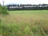 Lots 4- 9 County Road 235 - Photo 2