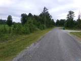 Lots 4- 9 County Road 235 - Photo 5