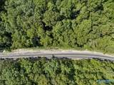 2520 Sweeney Hollow Road - Photo 11