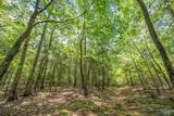 64 Acres Hawks Way - Photo 27