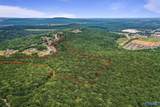 64 Acres Hawks Way - Photo 3