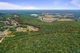 35.5 Acres Hawks Way - Photo 12