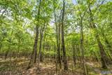 8.6 Acres High Mountain Road - Photo 7