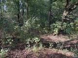 1428 Cove Creek Drive - Photo 2