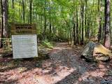 532 County Road 152 - Photo 45