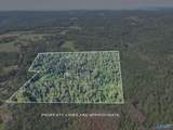 35 ACRES Pine Ridge Road - Photo 1