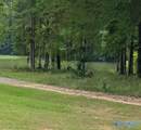 lot 1 County Road 249 - Photo 4