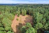 25.8 Acres Davis Gap Road - Photo 10