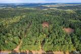 25.8 Acres Davis Gap Road - Photo 12
