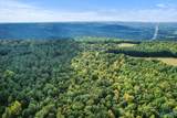 25.8 Acres Davis Gap Road - Photo 17