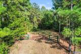 25.8 Acres Davis Gap Road - Photo 19