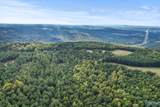 25.8 Acres Davis Gap Road - Photo 26