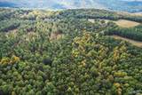 25.8 Acres Davis Gap Road - Photo 28