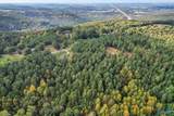 25.8 Acres Davis Gap Road - Photo 6