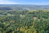 25.8 Acres Davis Gap Road - Photo 8
