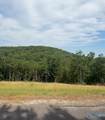 Lot 4948 County Road 767 - Photo 4