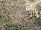 4.6 Acres Pulaski Pike - Photo 10