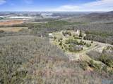 4.6 Acres Pulaski Pike - Photo 13