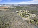 4.6 Acres Pulaski Pike - Photo 14