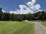 4.6 Acres Pulaski Pike - Photo 2
