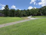4.6 Acres Pulaski Pike - Photo 3