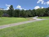 4.6 Acres Pulaski Pike - Photo 4