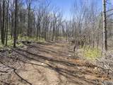 4.6 Acres Pulaski Pike - Photo 8