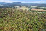 17 Acres Old Grant Road - Photo 8