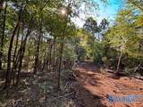 Lot 3 County Road 79 - Photo 16