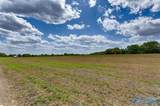 66 Acres Mint Road - Photo 10