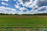 66 Acres Mint Road - Photo 4