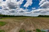 66 Acres Mint Road - Photo 6