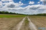 66 Acres Mint Road - Photo 8