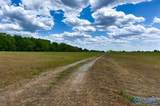 66 Acres Mint Road - Photo 9