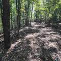 4316 Danville Road - Photo 5
