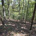 4316 Danville Road - Photo 6