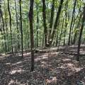 4316 Danville Road - Photo 7
