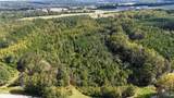 44 Acres Tall Oak Trail - Photo 1